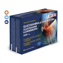 Glucosamina Y Condroitina...