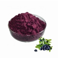 Acai En Polvo