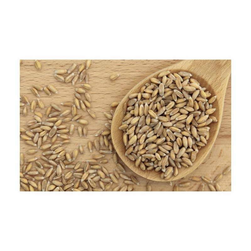 Grano De Espelta Eco