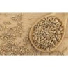 Grano De Espelta Eco