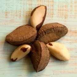 Coquito pelado de Brasil | Fruto seco natural y nutritivo