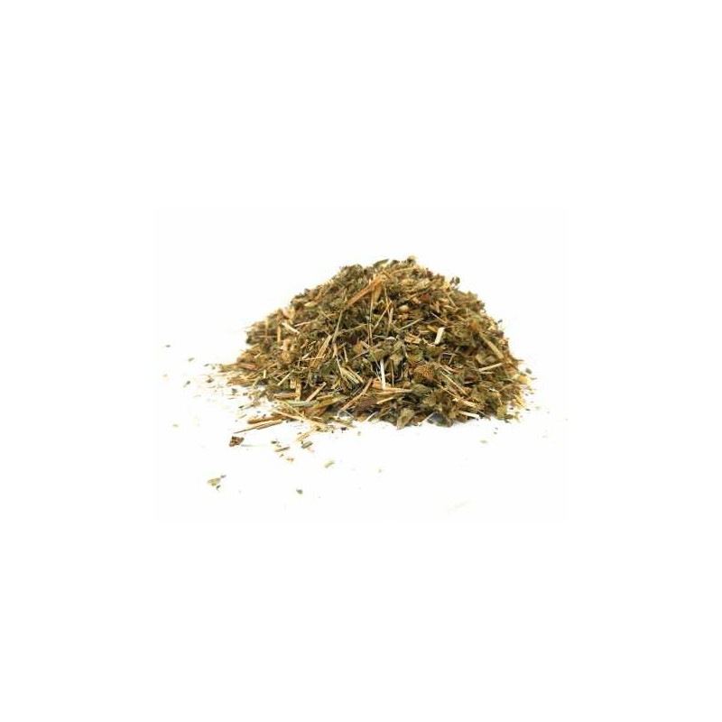 Agrimonia Planta