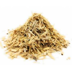 Ginseng Indiano