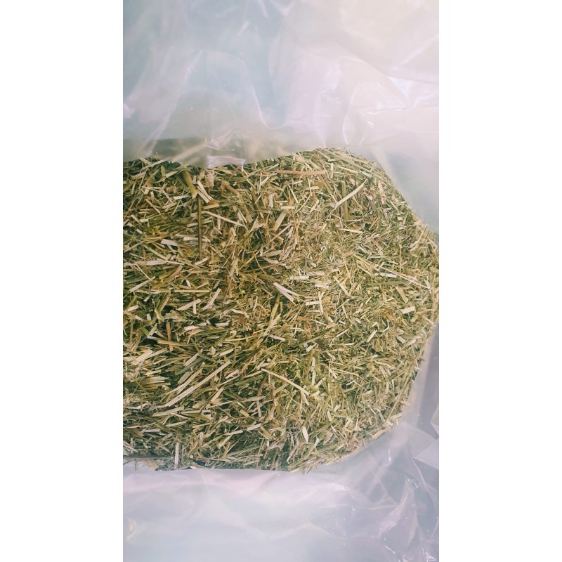 Meliloto planta natural para infusiones medicinales