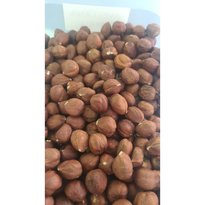 Avellana cruda con piel, sin cáscara