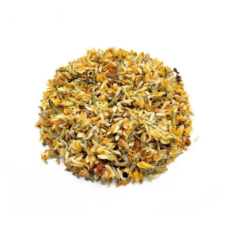 Carqueja Flor | Planta medicinal digestiva