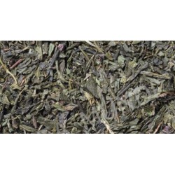 Té Verde Cacao Menta Eco