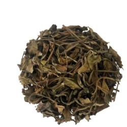 Té Blanco Pai Mu Tan